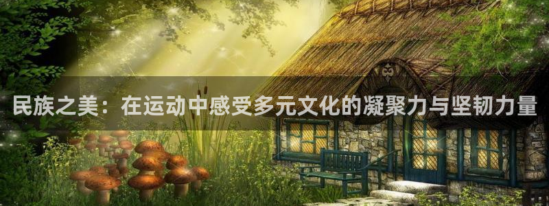 球王会体育
