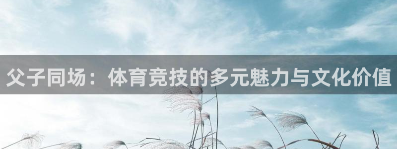 球王会体育