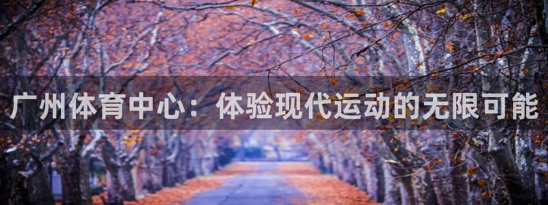 球王会体育