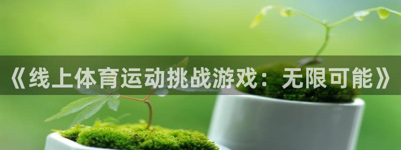 球王会体育