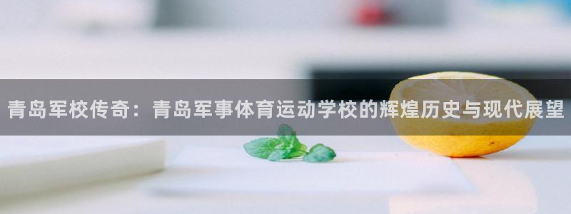 球王会体育