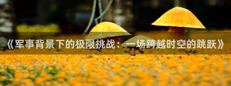 球王会体育