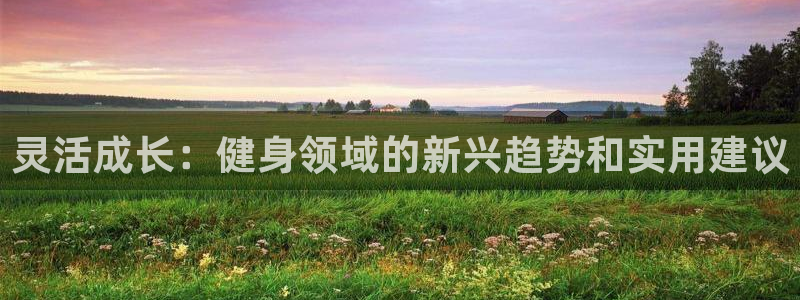球王会体育