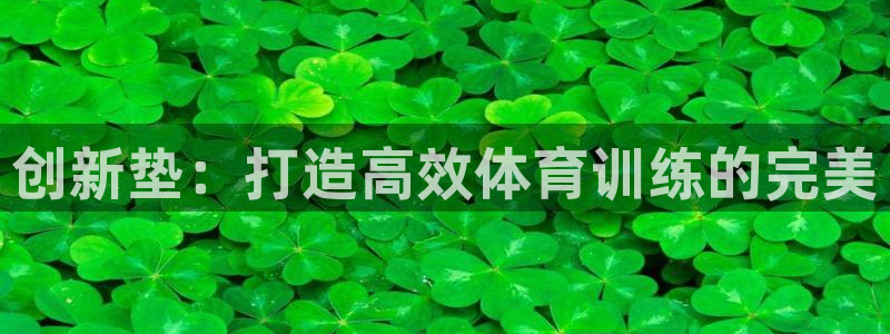 球王会体育