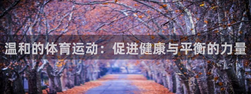 球王会体育