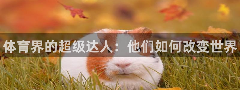 球王会体育