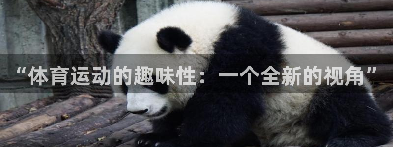 球王会体育